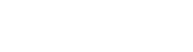 SingulariTI