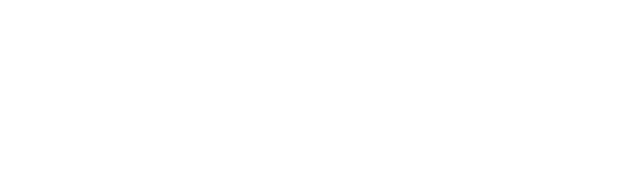 SingulariTI